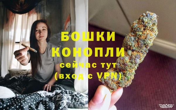 экстази Богданович