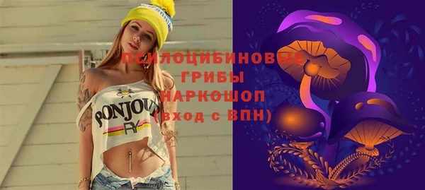бошки Белокуриха