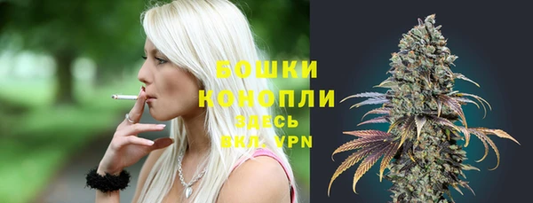 ПСИЛОЦИБИНОВЫЕ ГРИБЫ Белоозёрский