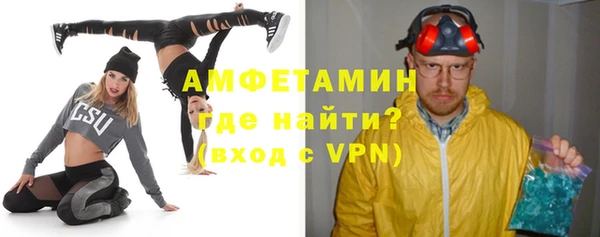 сатива Беломорск