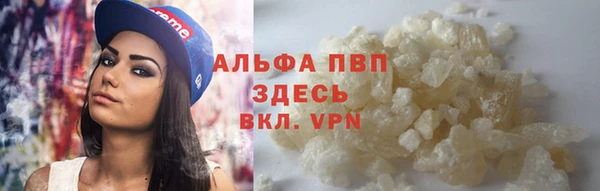 ПСИЛОЦИБИНОВЫЕ ГРИБЫ Белоозёрский