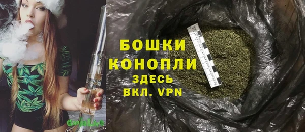 ПСИЛОЦИБИНОВЫЕ ГРИБЫ Белоозёрский