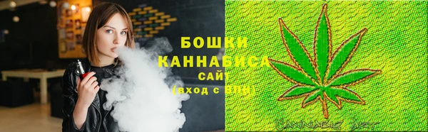 ПСИЛОЦИБИНОВЫЕ ГРИБЫ Белоозёрский