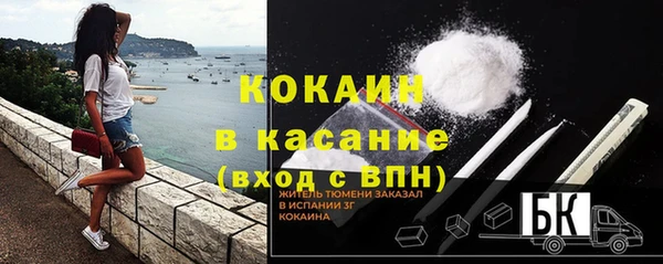 бошки Белокуриха